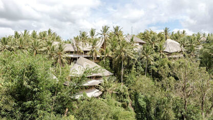 In deze fan-tas-tische Airbnb-woning in Bali voel je je net Tarzan en Jane